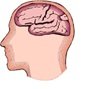 Test Your Brain